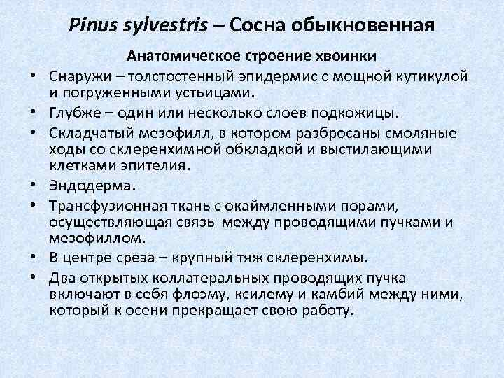 Pinus sylvestris – Сосна обыкновенная • • Анатомическое строение хвоинки Снаружи – толстостенный эпидермис