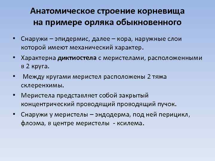 Анатомическое строение корневища на примере орляка обыкновенного • Снаружи – эпидермис, далее – кора,