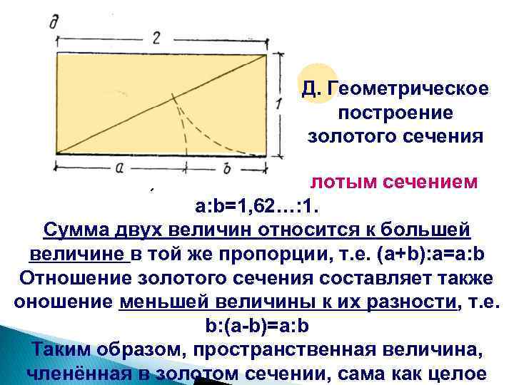 Отношение в золотом сечении