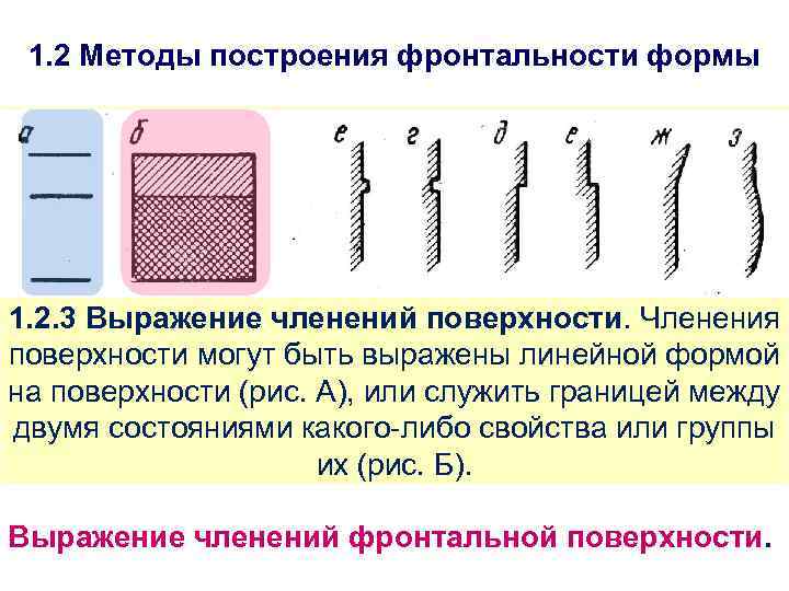 1. 2 Методы построения фронтальности формы 1. 2. 3 Выражение членений поверхности. Членения поверхности