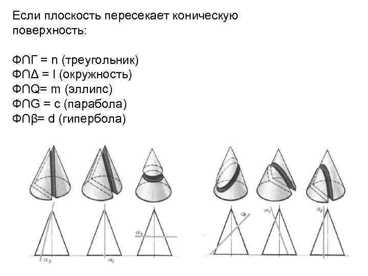 Если плоскость пересекает коническую поверхность: Ф∩Г = n (треугольник) Ф∩Δ = l (окружность) Ф∩Q=