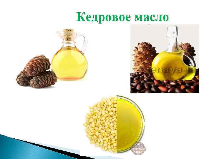 Кедровое масло 