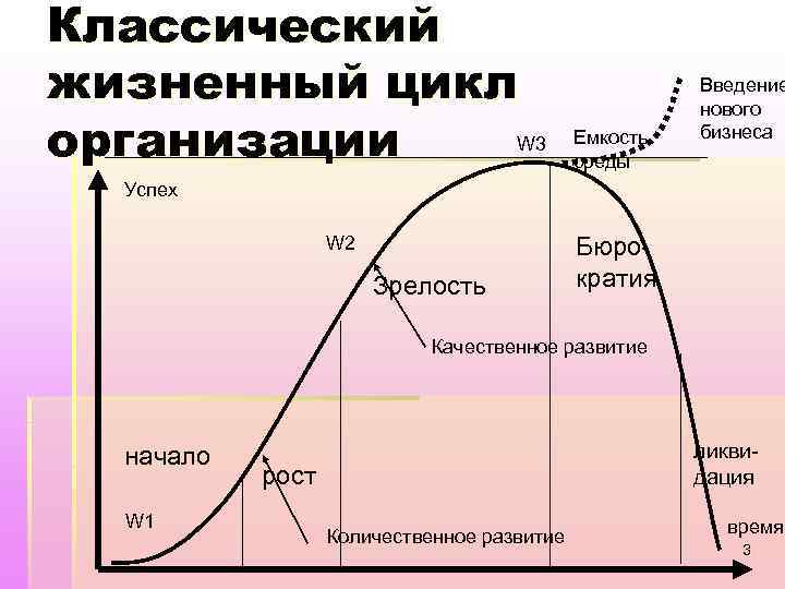 Классический жизненный цикл W 3 организации Емкость среды Введение нового бизнеса Успех W 2