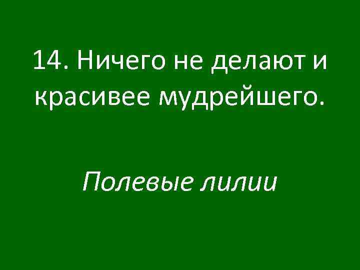 14. Ничего не делают и красивее мудрейшего. Полевые лилии 