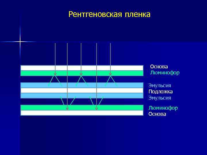 Основы лучевой диагностики от изображения к диагнозу