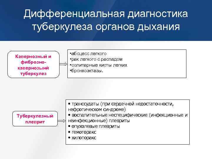 Схема методы диагностики туберкулеза