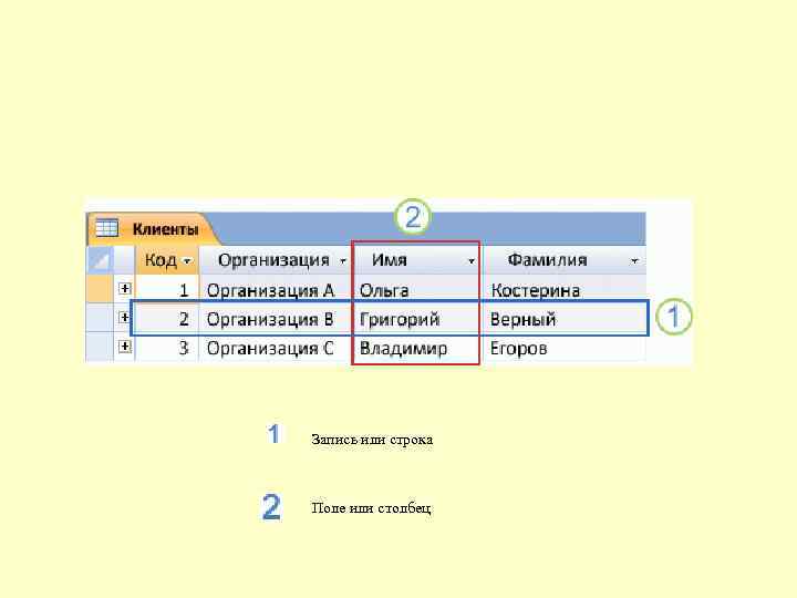 Запись или строка Поле или столбец 