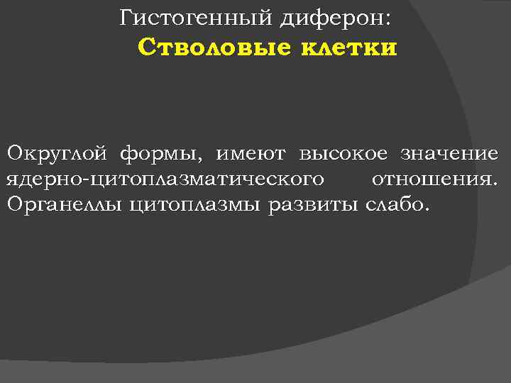 Гистогенный диферон: Стволовые клетки Округлой формы, имеют высокое значение ядерно-цитоплазматического отношения. Органеллы цитоплазмы развиты