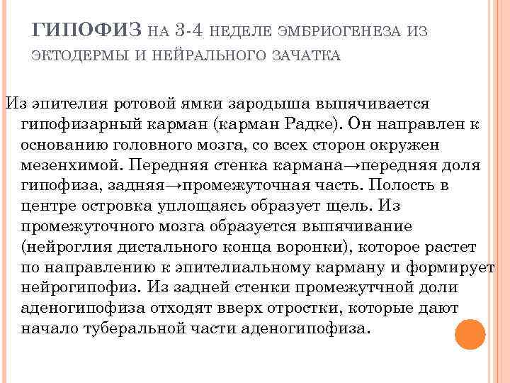ГИПОФИЗ НА 3 -4 НЕДЕЛЕ ЭМБРИОГЕНЕЗА ИЗ ЭКТОДЕРМЫ И НЕЙРАЛЬНОГО ЗАЧАТКА. Из эпителия ротовой