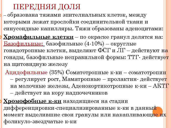 ПЕРЕДНЯЯ ДОЛЯ тяжами эпителиальных клеток, между которыми лежат прослойки соединительной ткани и синусоидные капилляры.