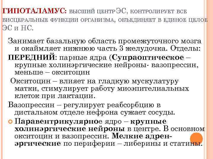 ГИПОТАЛАМУС: ВЫСШИЙ ЦЕНТР ЭС, КОНТРОЛИРУЕТ ВСЕ ВИСЦЕРАЛЬНЫЕ ФУНКЦИИ ОРГАНИЗМА, ОБЪЕДИНЯЕТ В ЕДИНОЕ ЦЕЛОЕ ЭС