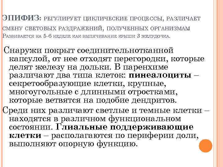 ЭПИФИЗ: РЕГУЛИРУЕТ ЦИКЛИЧЕСКИЕ ПРОЦЕССЫ, РАЗЛИЧАЕТ СМЕНУ СВЕТОВЫХ РАЗДРАЖЕНИЙ, ПОЛУЧЕННЫХ ОРГАНИЗМАМ. РАЗВИВАЕТСЯ НА 5 -6