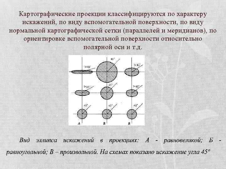 Полярная ось