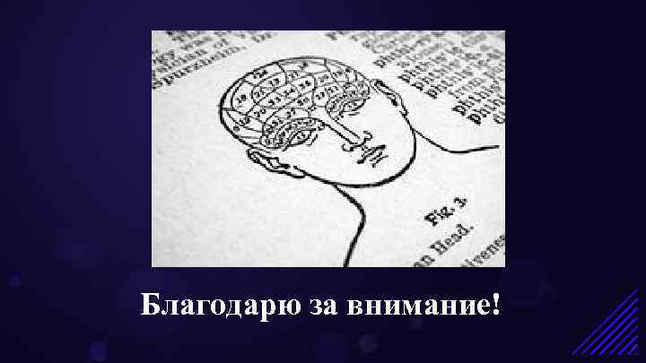 Благодарю за внимание! 