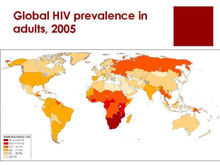 Global HIV prevalence in adults, 2005 