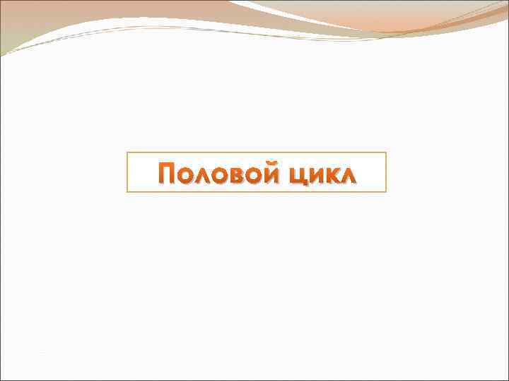 Половой цикл 