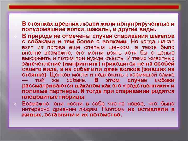 v v v В стоянках древних людей жили полуприрученные и полудомашние волки, шакалы, и