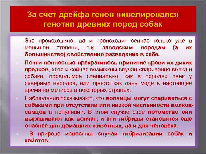За счет дрейфа генов нивелировался генотип древних пород собак v v Это происходило, да