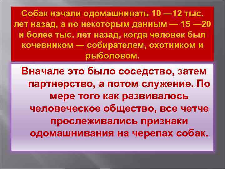 Собак начали одомашнивать 10 — 12 тыс. лет назад, а по некоторым данным —