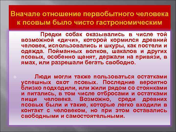Вначале отношение первобытного человека к псовым было чисто гастрономическим v Предки собак оказывались в