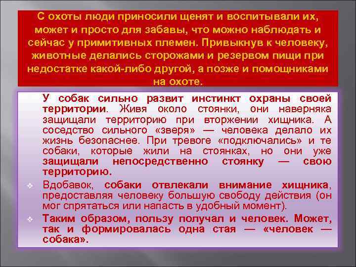 С охоты люди приносили щенят и воспитывали их, может и просто для забавы, что