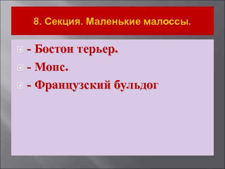 8. Секция. Маленькие малоссы. - Бостон терьер. - Мопс. - Французский бульдог 