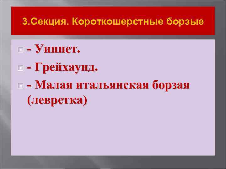 3. Секция. Короткошерстные борзые - Уиппет. - Грейхаунд. - Малая итальянская борзая (левретка) 
