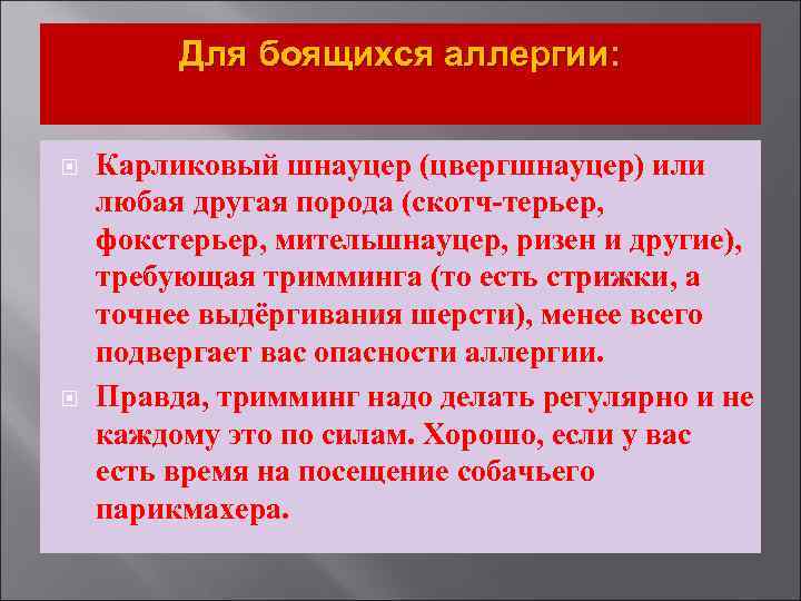 Для боящихся аллергии: Карликовый шнауцер (цвергшнауцер) или любая другая порода (скотч-терьер, фокстерьер, мительшнауцер, ризен