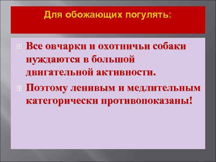 Для обожающих погулять: Все овчарки и охотничьи собаки нуждаются в большой двигательной активности. Поэтому