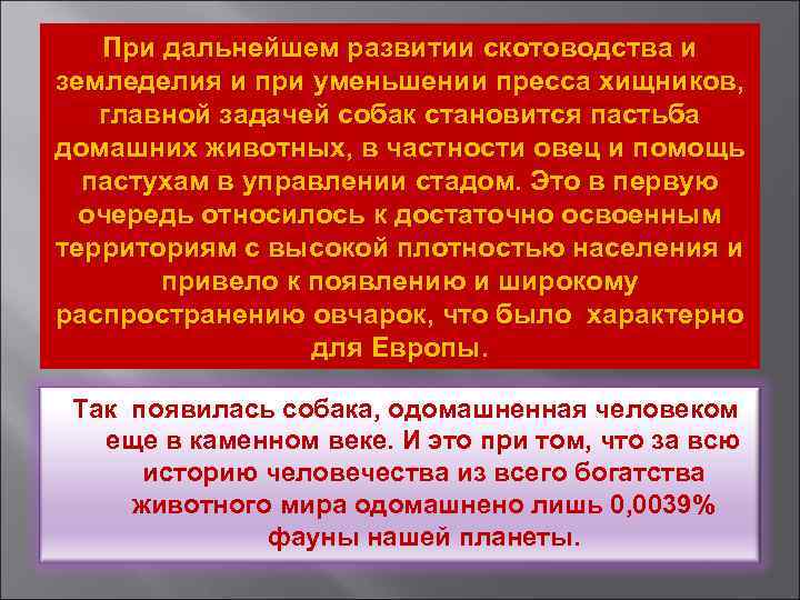При дальнейшем развитии скотоводства и земледелия и при уменьшении пресса хищников, главной задачей собак