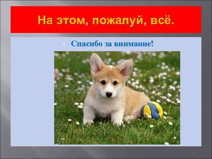 На этом, пожалуй, всё. Спасибо за внимание! 