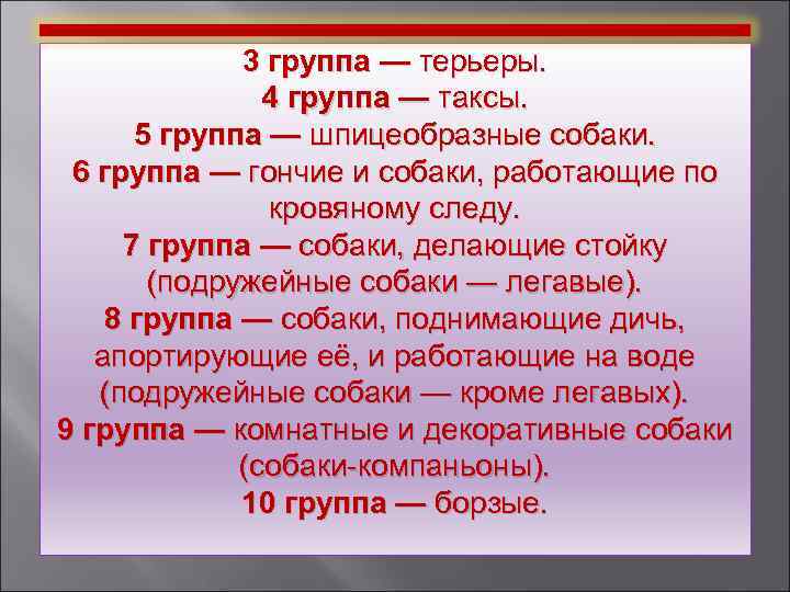 3 группа — терьеры. 4 группа — таксы. 5 группа — шпицеобразные собаки. 6