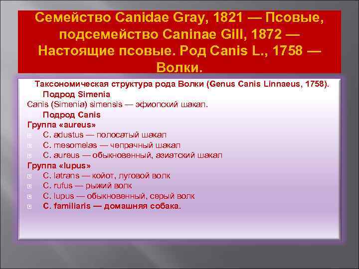 Семейство Canidae Gray, 1821 — Псовые, подсемейство Саninае Gill, 1872 — Настоящие псовые. Род