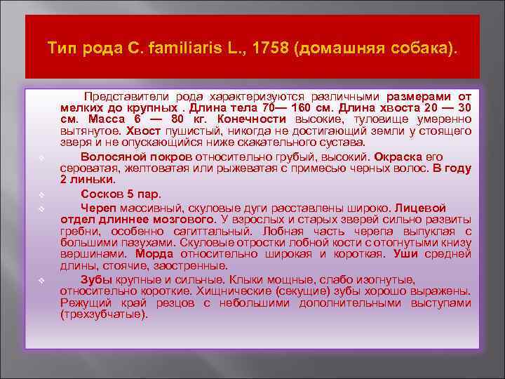 Тип рода С. familiaris L. , 1758 (домашняя собака). v v Представители рода характеризуются