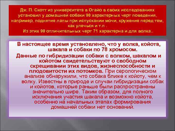 Дж. П. Скотт из университета в Огайо в своих исследованиях установил у домашней собаки