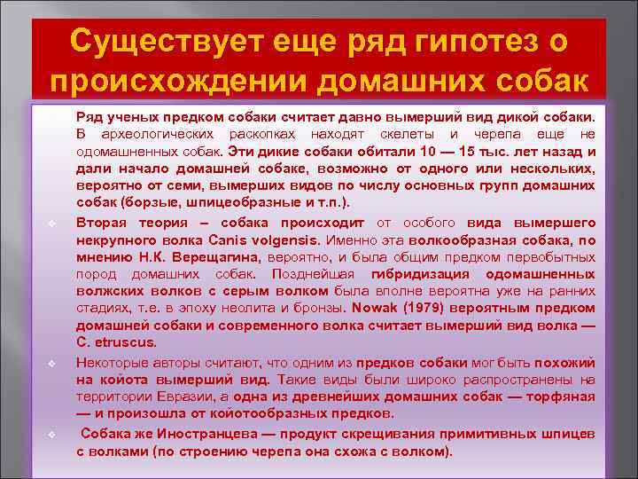 Существует еще ряд гипотез о происхождении домашних собак v v Ряд ученых предком собаки