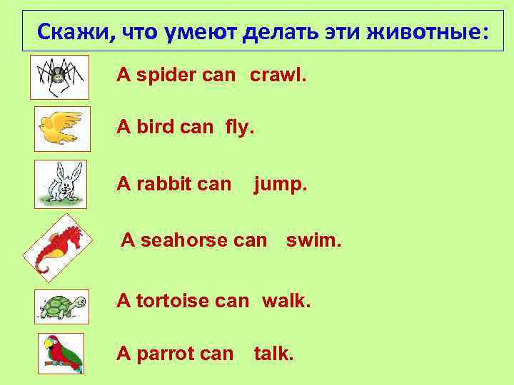 Cкажи, что умеют делать эти животные: A spider can crawl. A bird can fly.