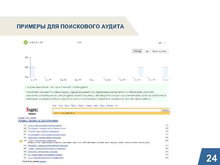 ПРИМЕРЫ ДЛЯ ПОИСКОВОГО АУДИТА 24 