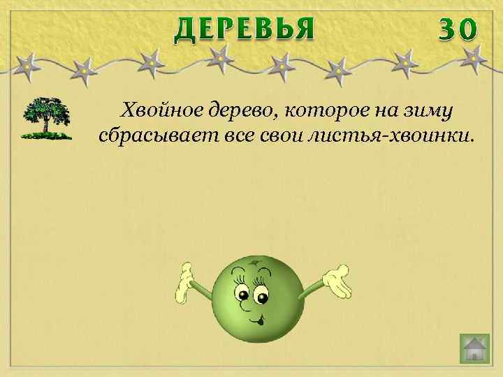 Хвойное дерево, которое на зиму сбрасывает все свои листья-хвоинки. 