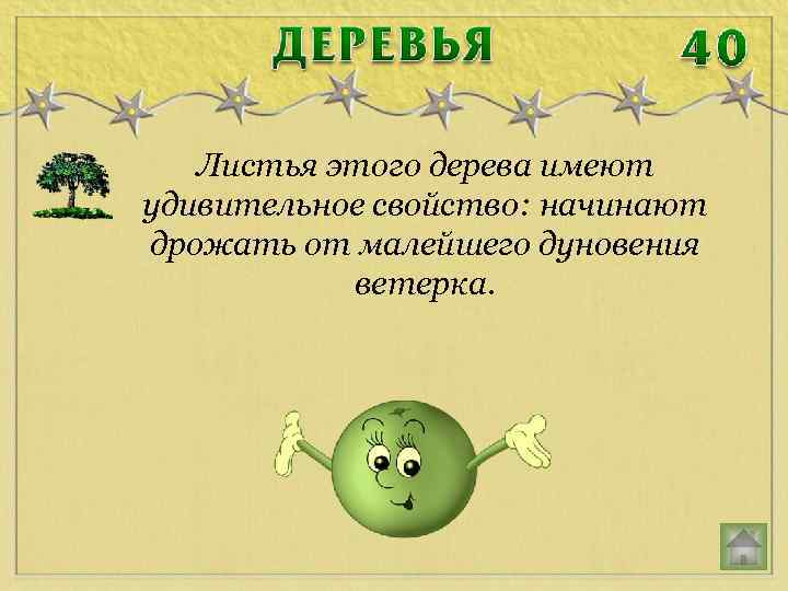 Листья этого дерева имеют удивительное свойство: начинают дрожать от малейшего дуновения ветерка. 