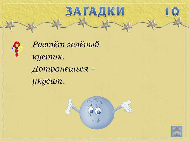 Растёт зелёный кустик. Дотронешься – укусит. 