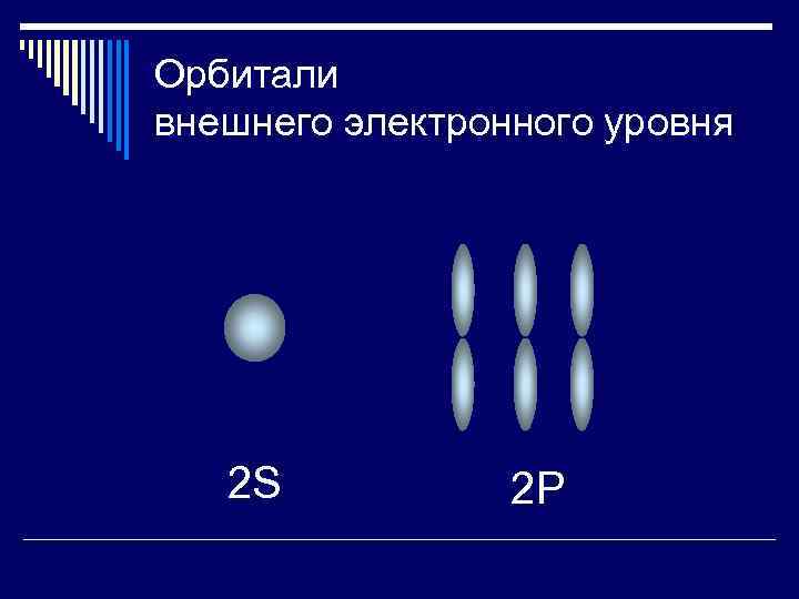 Орбитали внешнего электронного уровня 2 S 2 P 