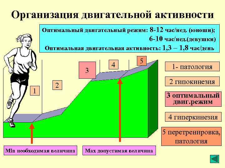 Организация двигательной активности Оптимальный двигательный режим: 8 -12 час/нед. (юноши); 6 -10 час/нед. (девушки)