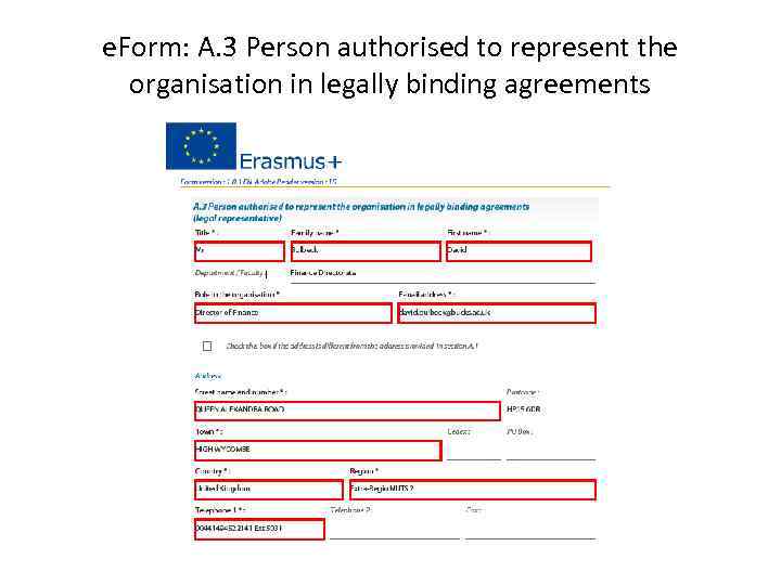 e. Form: A. 3 Person authorised to represent the organisation in legally binding agreements