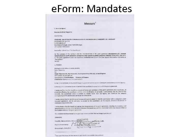 e. Form: Mandates 