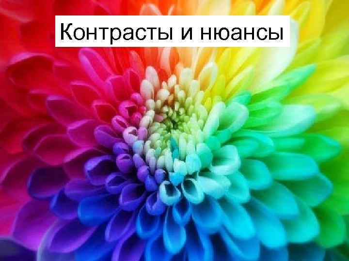 Контрасты и нюансы 