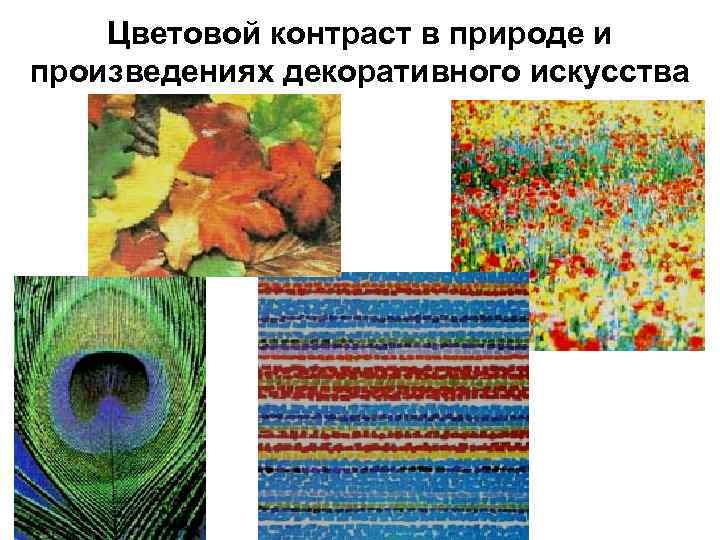 Цветовой контраст в природе и произведениях декоративного искусства 