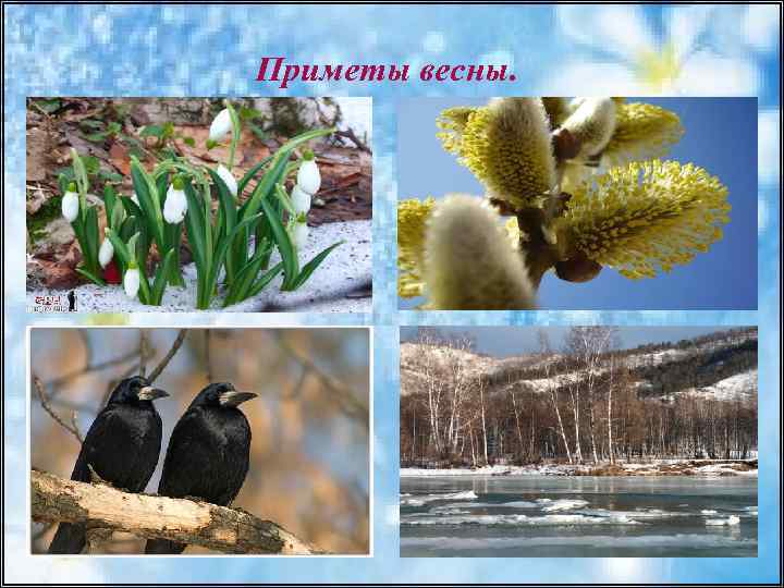 Приметы весны. 