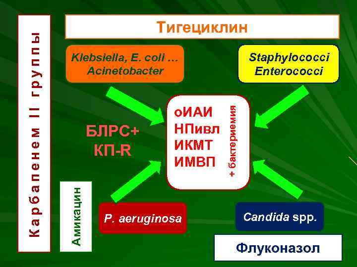 Staphylococci Enterococci БЛРС+ КП-R о. ИАИ НПивл ИКМТ ИМВП P. aeruginosa + бактериемия Klebsiella,