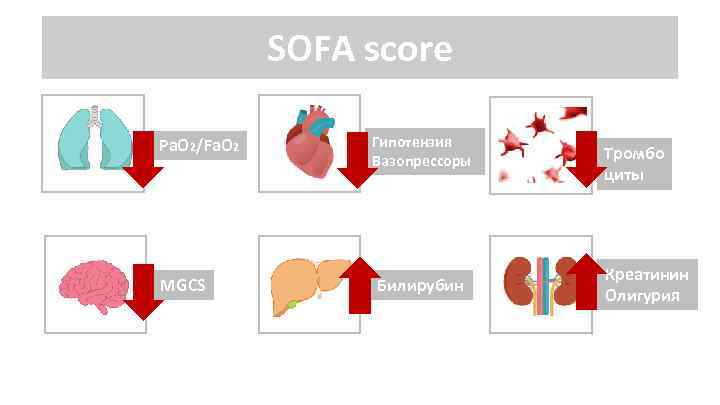SOFA score Pa. O 2/Fa. O 2 Гипотензия Вазопрессоры МGCS Билирубин Тромбо циты Креатинин